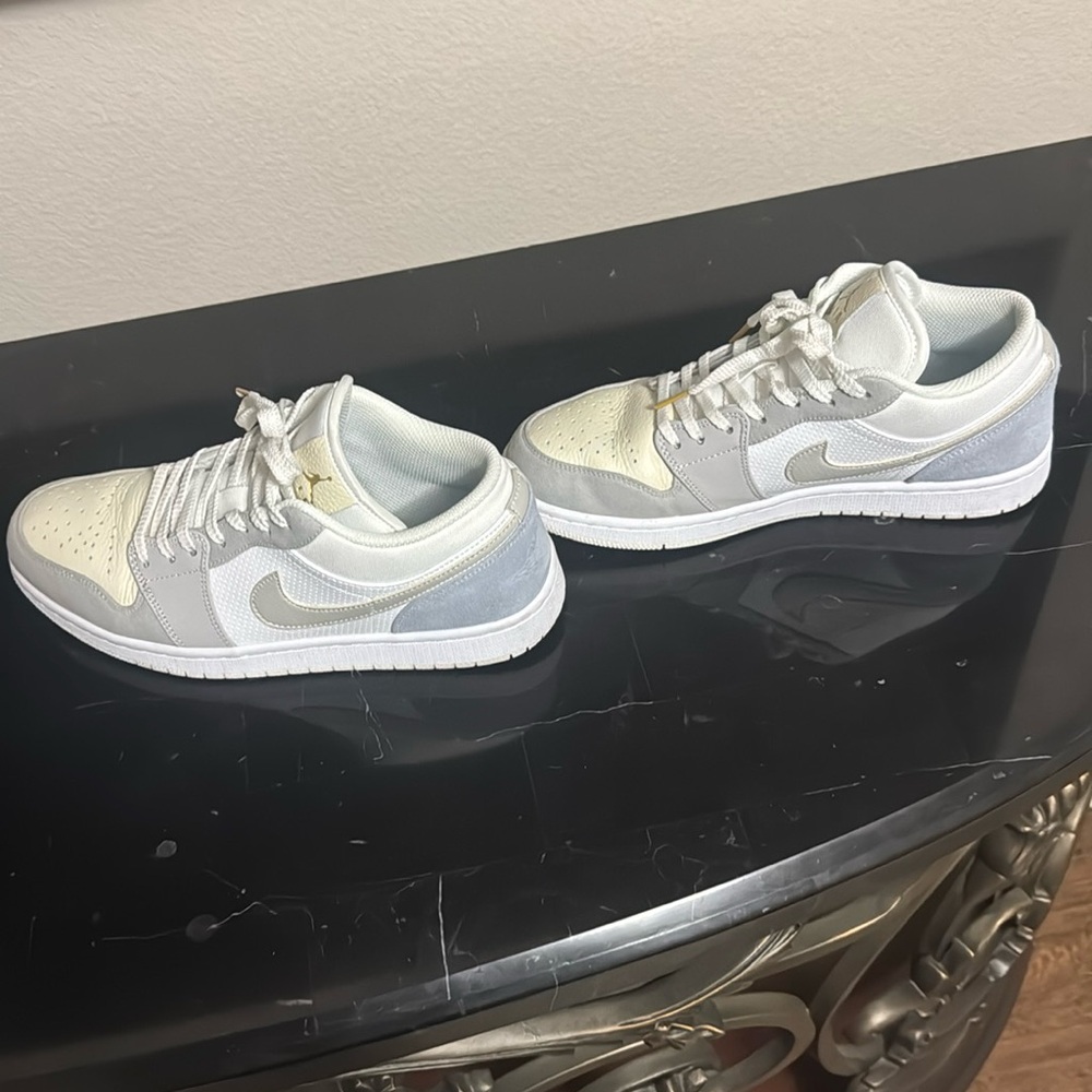 Men’s Jordan Paris shoe